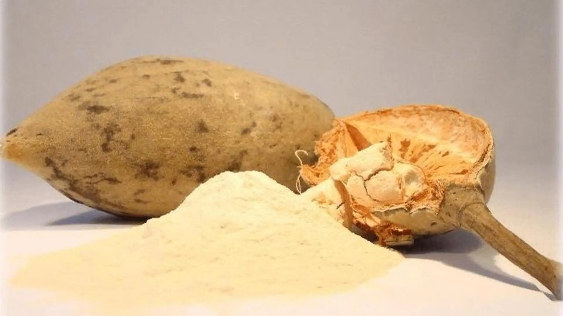 Baobab Fruit Powder