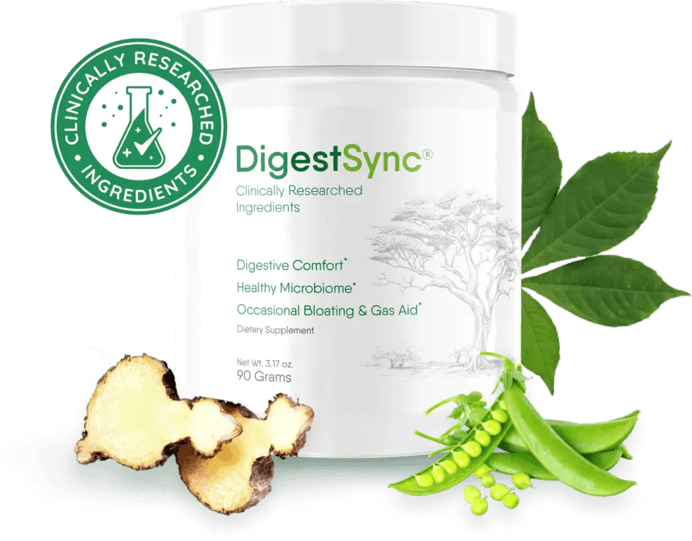 DigestSync Introduction
